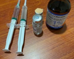 b0a69a17-a619-46bc-9c95-960239c10cac